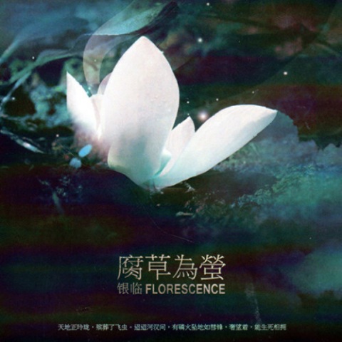 泸沽寻梦 cover